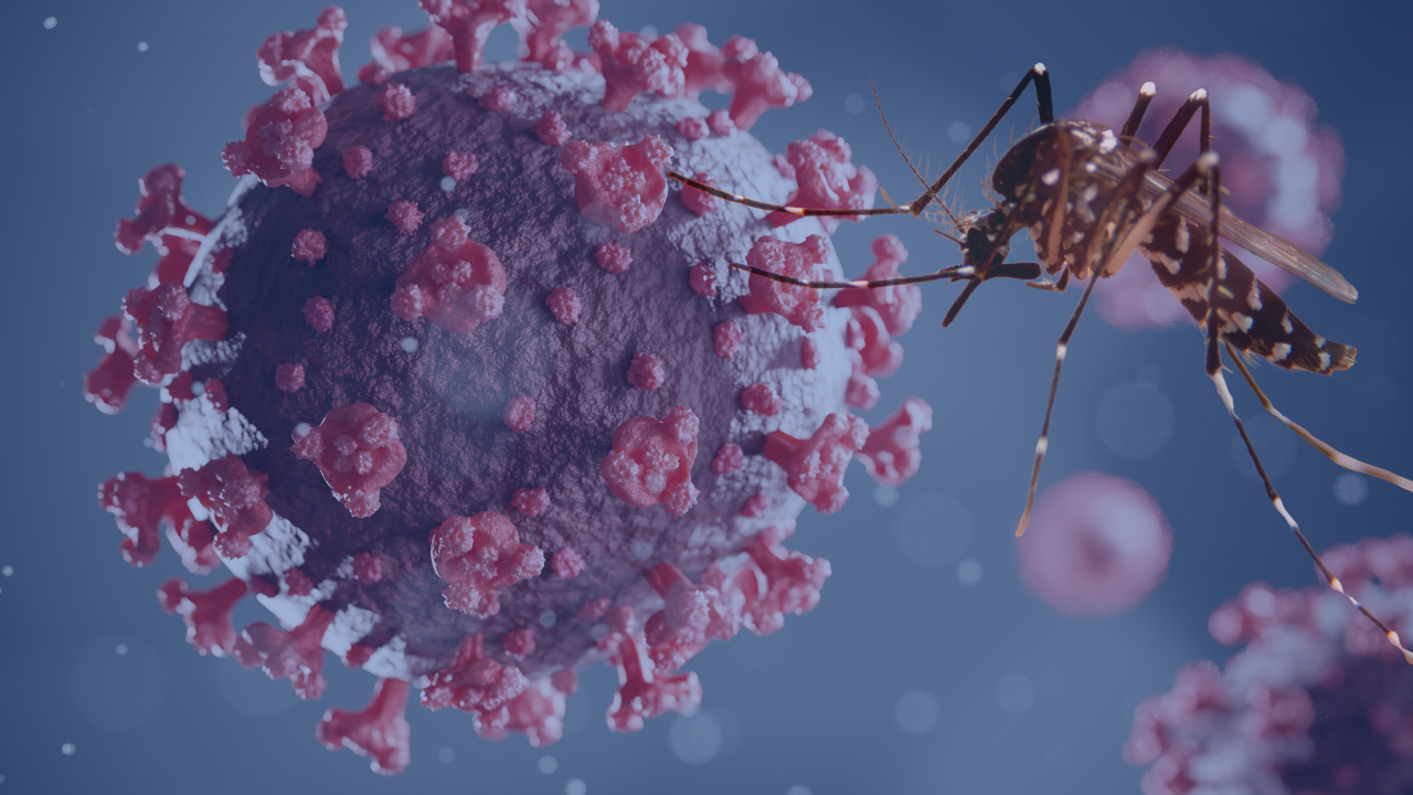 Dengue x Covid-19: Como um software de Gestão do Cuidado pode auxiliar no enfrentamento dessas doenças